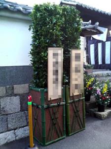 ミッション　(京都)｜「桂花園」　（京都府京都市西京区の花キューピット加盟店 花屋）のブログ
