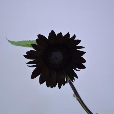110714_01