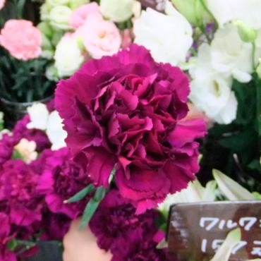 歳月はボルト　-京都隠れ家的花屋-｜「桂花園」　（京都府京都市西京区の花キューピット加盟店 花屋）のブログ
