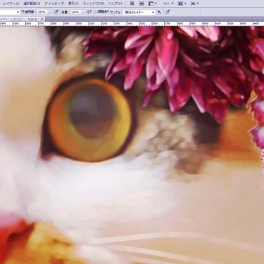 忘れられたBIG CAT -京都隠れ家的花屋-｜「桂花園」　（京都府京都市西京区の花キューピット加盟店 花屋）のブログ