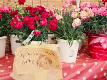 本日は母の日 -京都隠れ家的花屋-｜「桂花園」　（京都府京都市西京区の花キューピット加盟店 花屋）のブログ
